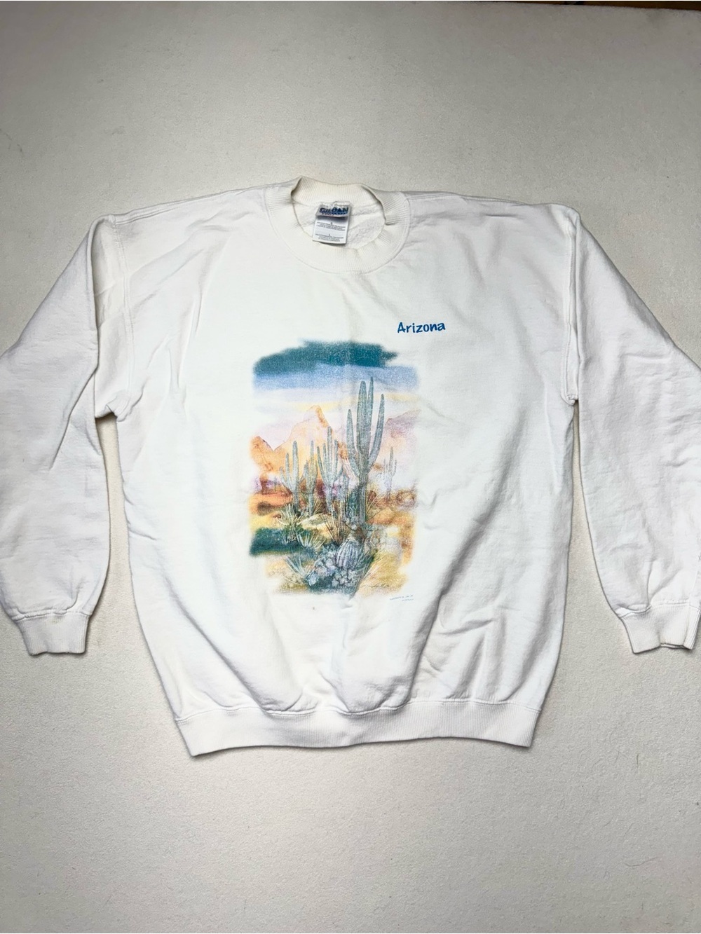 Vintage 🌵🏜️ Arizona Crewneck L